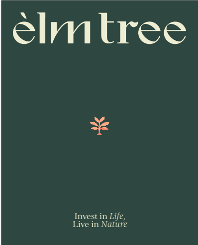 elm Tree